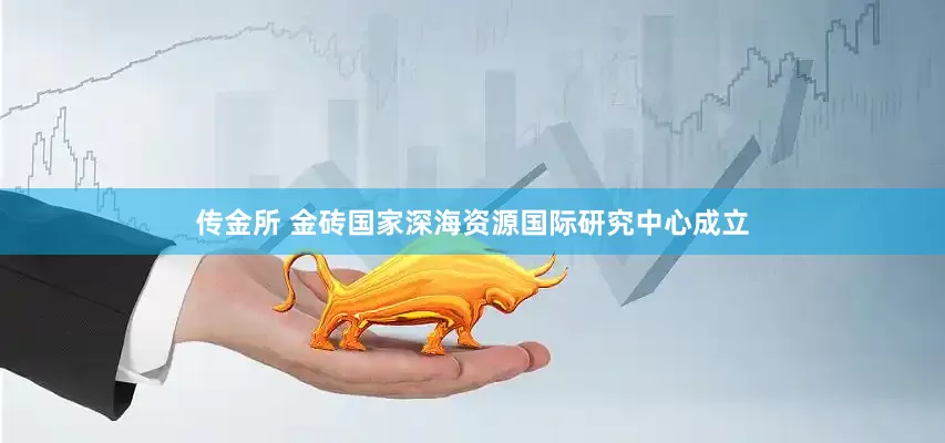 传金所 金砖国家深海资源国际研究中心成立