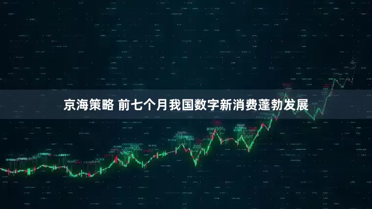 京海策略 前七个月我国数字新消费蓬勃发展